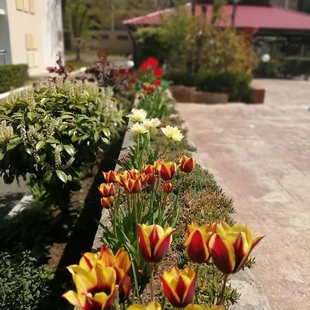 Hotel Trakia Garden Sunny Beach